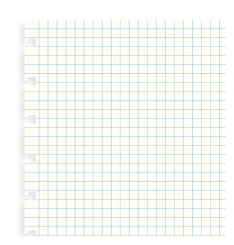 Filofax Notebook A5 karierte Einlagen - Image 4